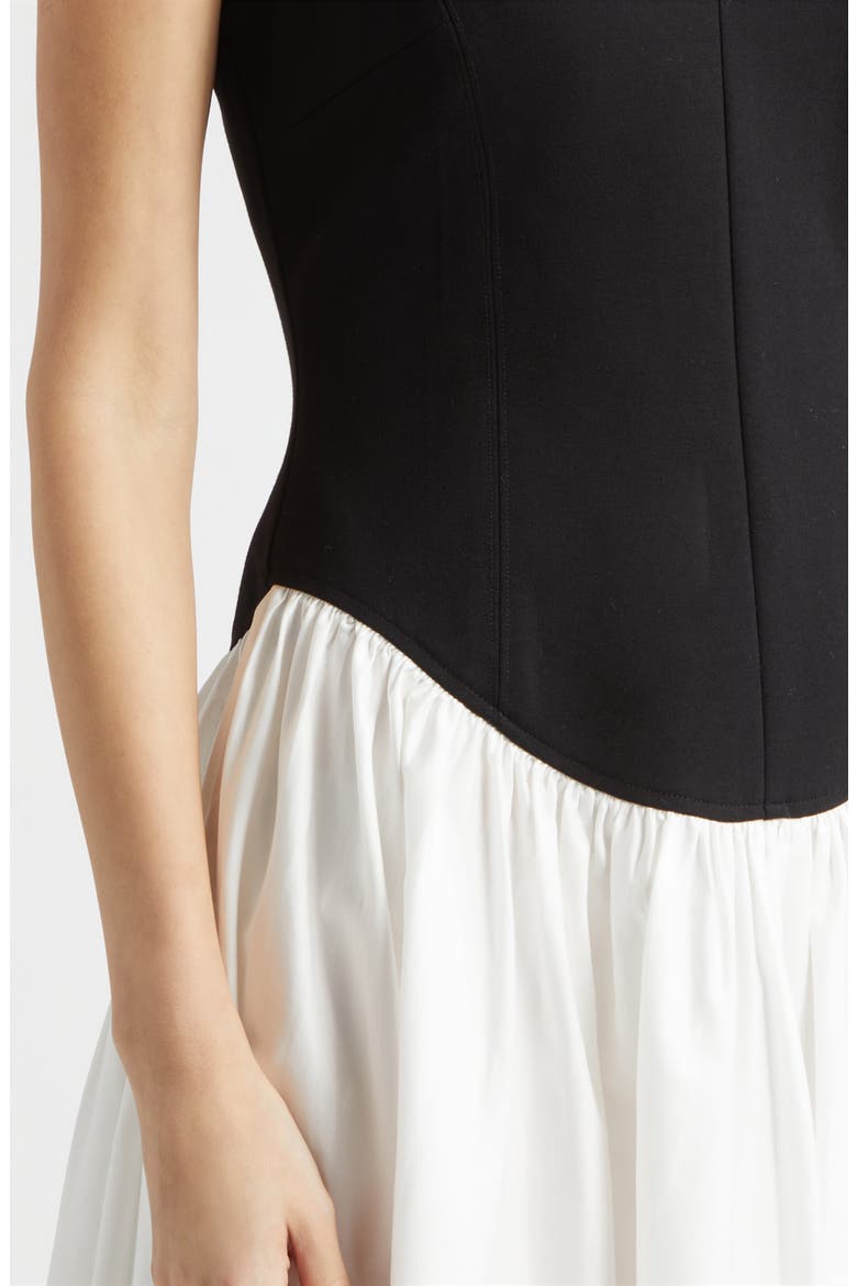 Lavinia Sleeveless A-Line Dress, Alternate, color, JET/ OPTIC