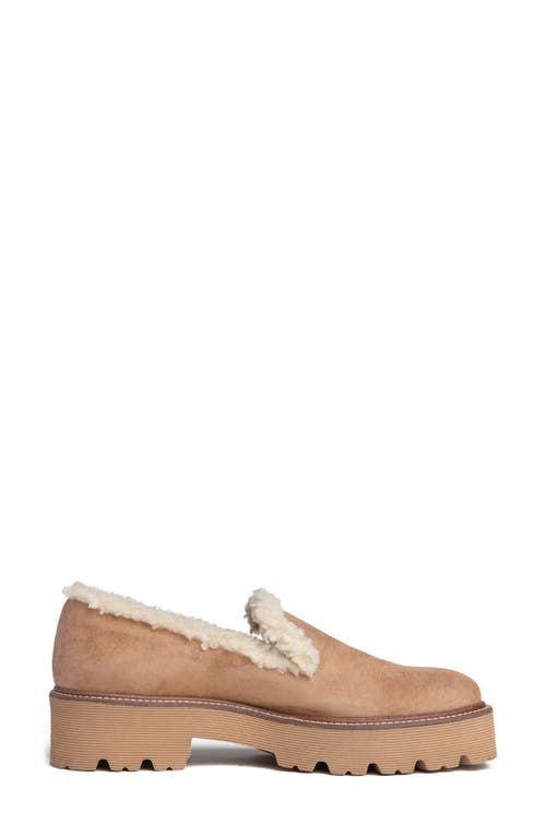 Beautiisoles Rio Faxu Shearling Trim Loafer In Camel