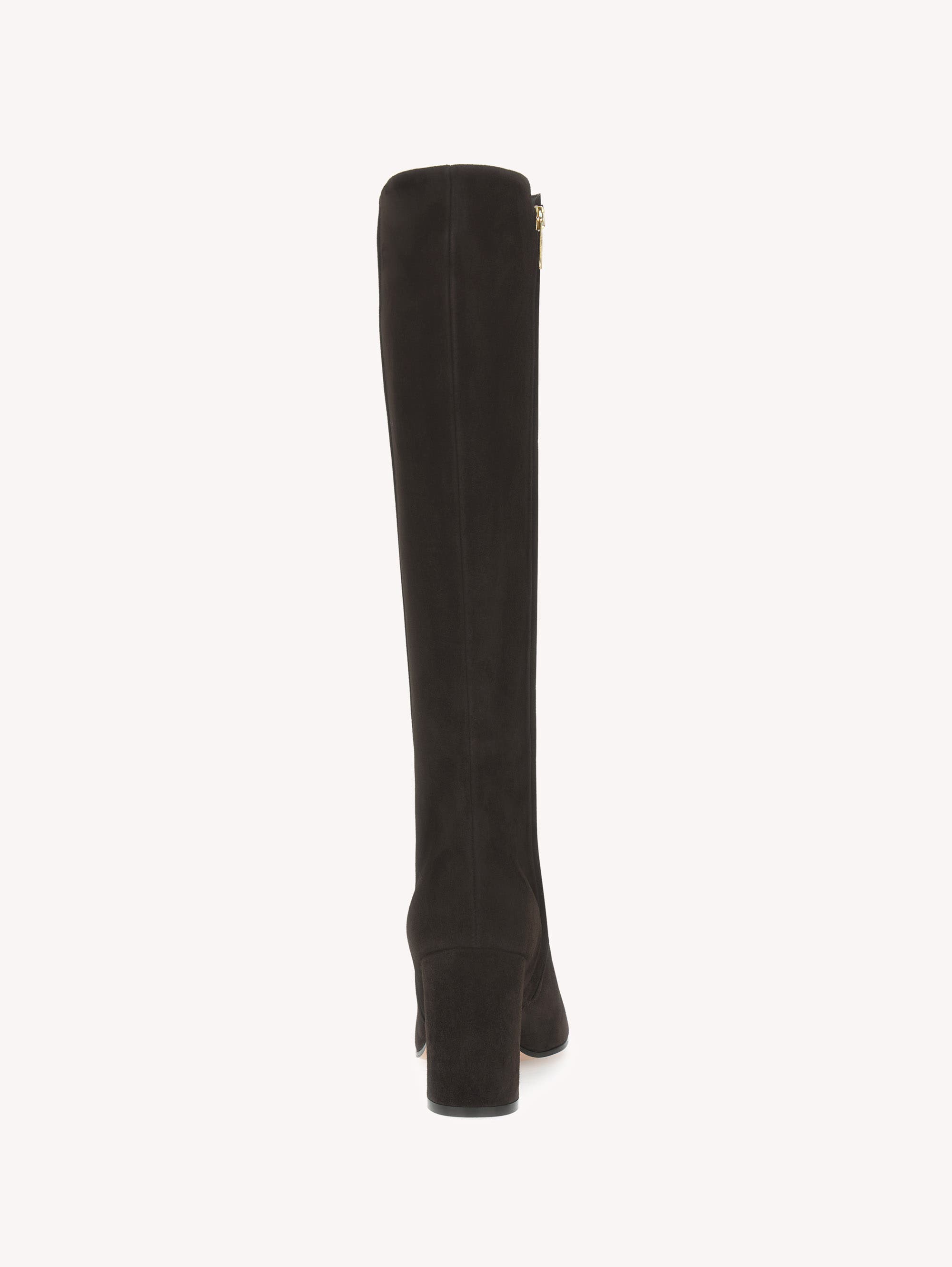 Lisa Boot, Alternate, color, Brown Suede Leather