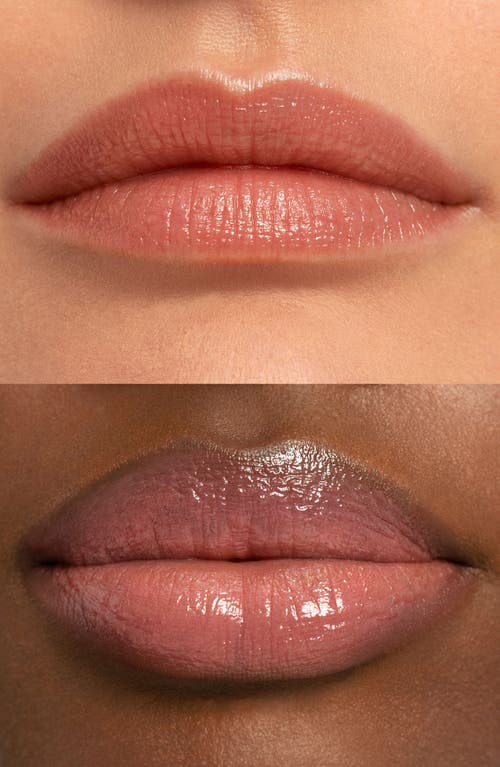 Chantecaille Les Papillons Sheer Lip Tint In Swallowtail