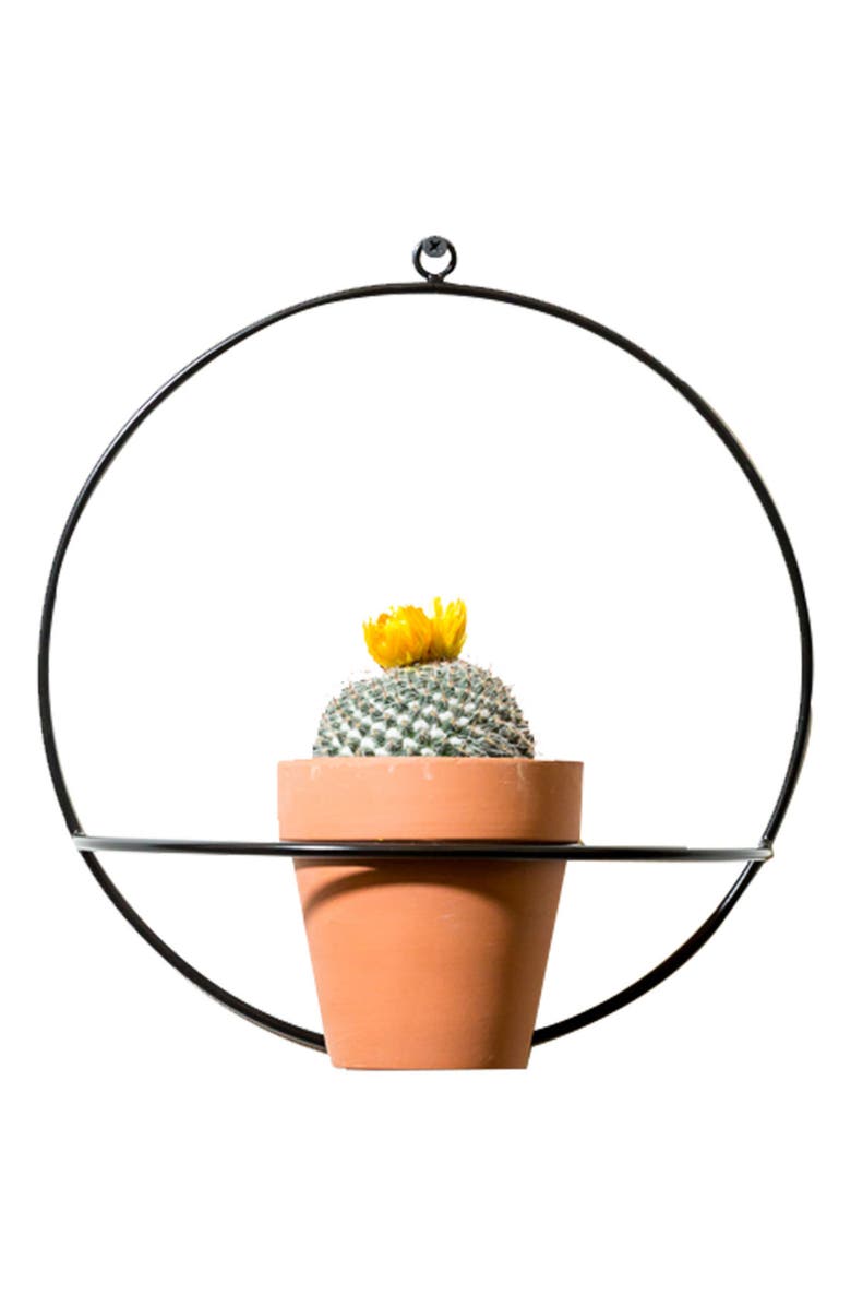 NewMade LA Circle Wall Mount Planter, Main, color,
