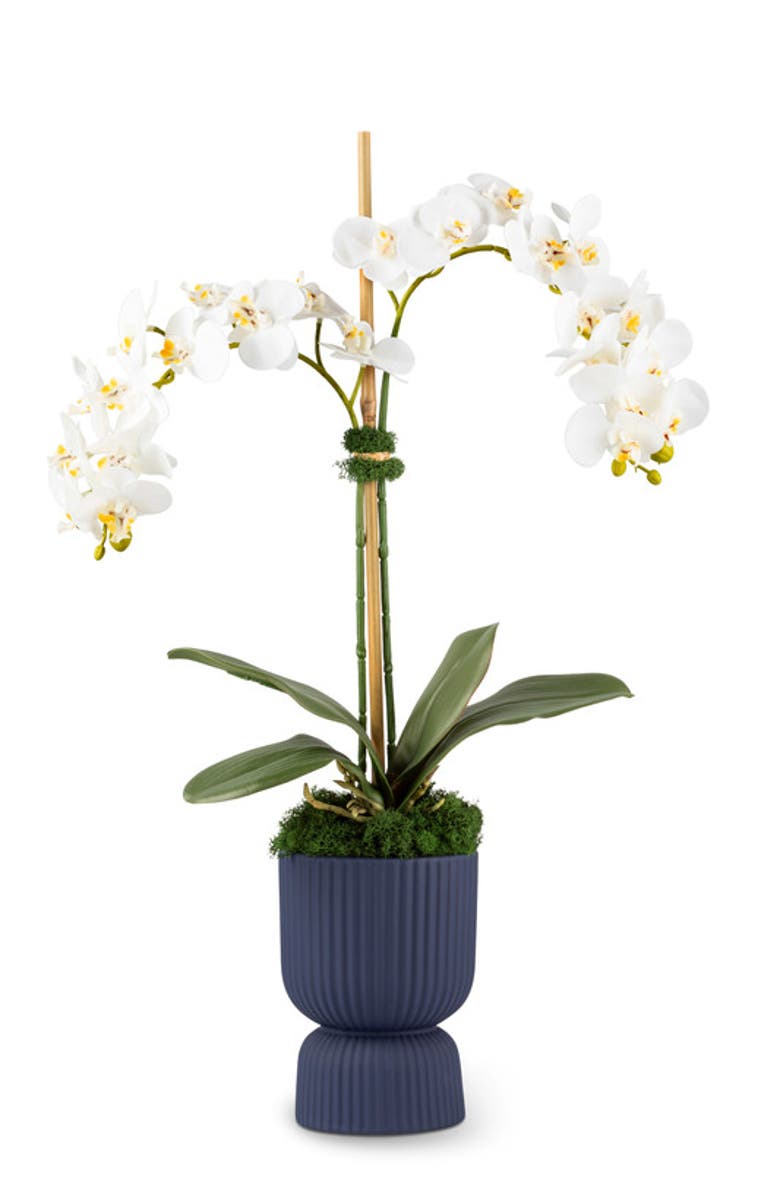 CocoBella Cruz RealTouch Pedestal Orchid, Main, color, Snow