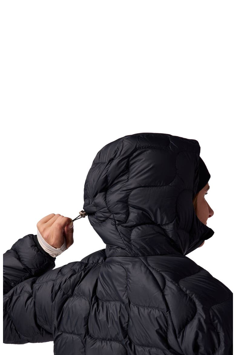 Waas Allied Down Hooded Jacket - Women's, Alternate, color, Black