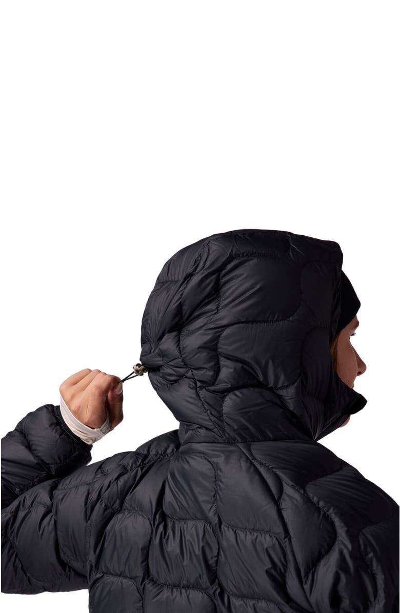 Backcountry Waas Allied Down Hooded Jacket - Women's, Alternate, color, Black