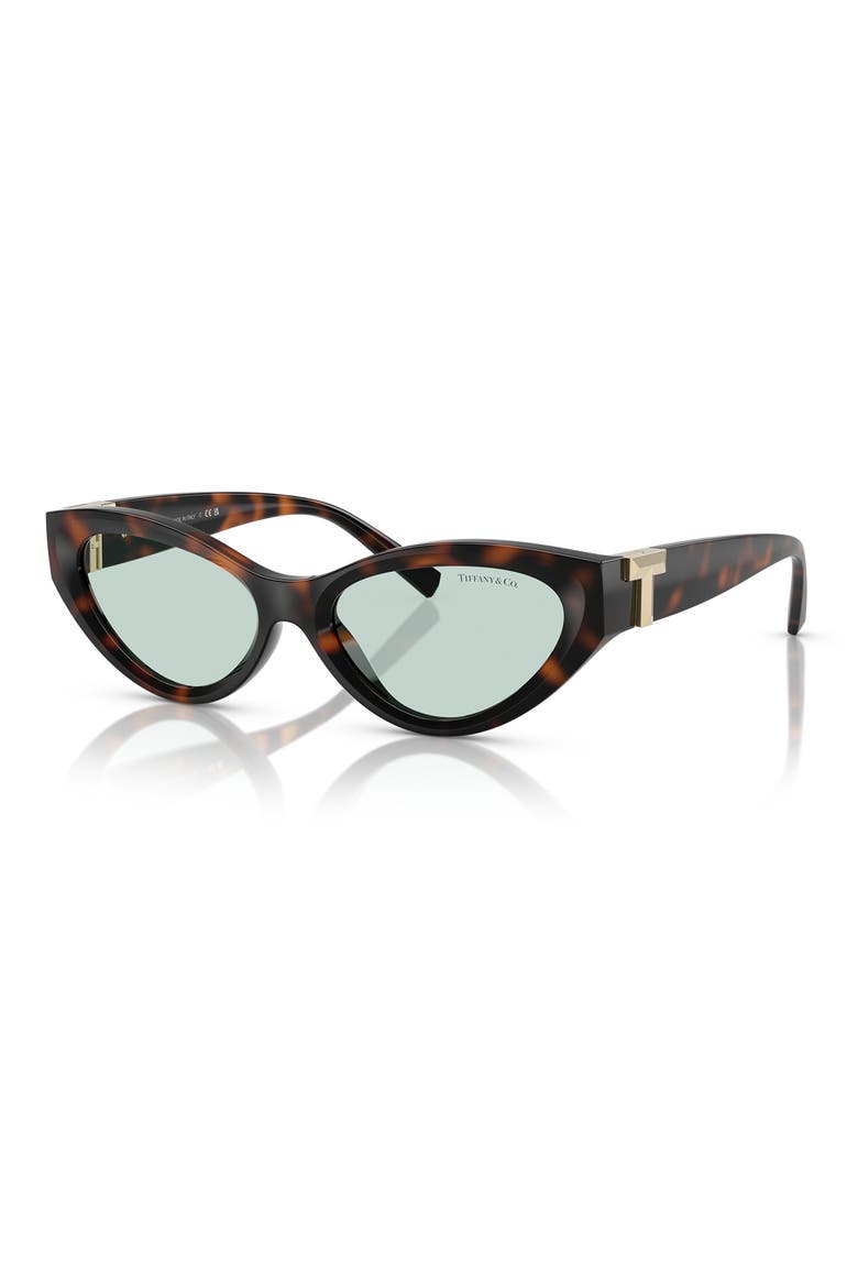 54mm Oval Sunglasses, Alternate, color, HAVANA