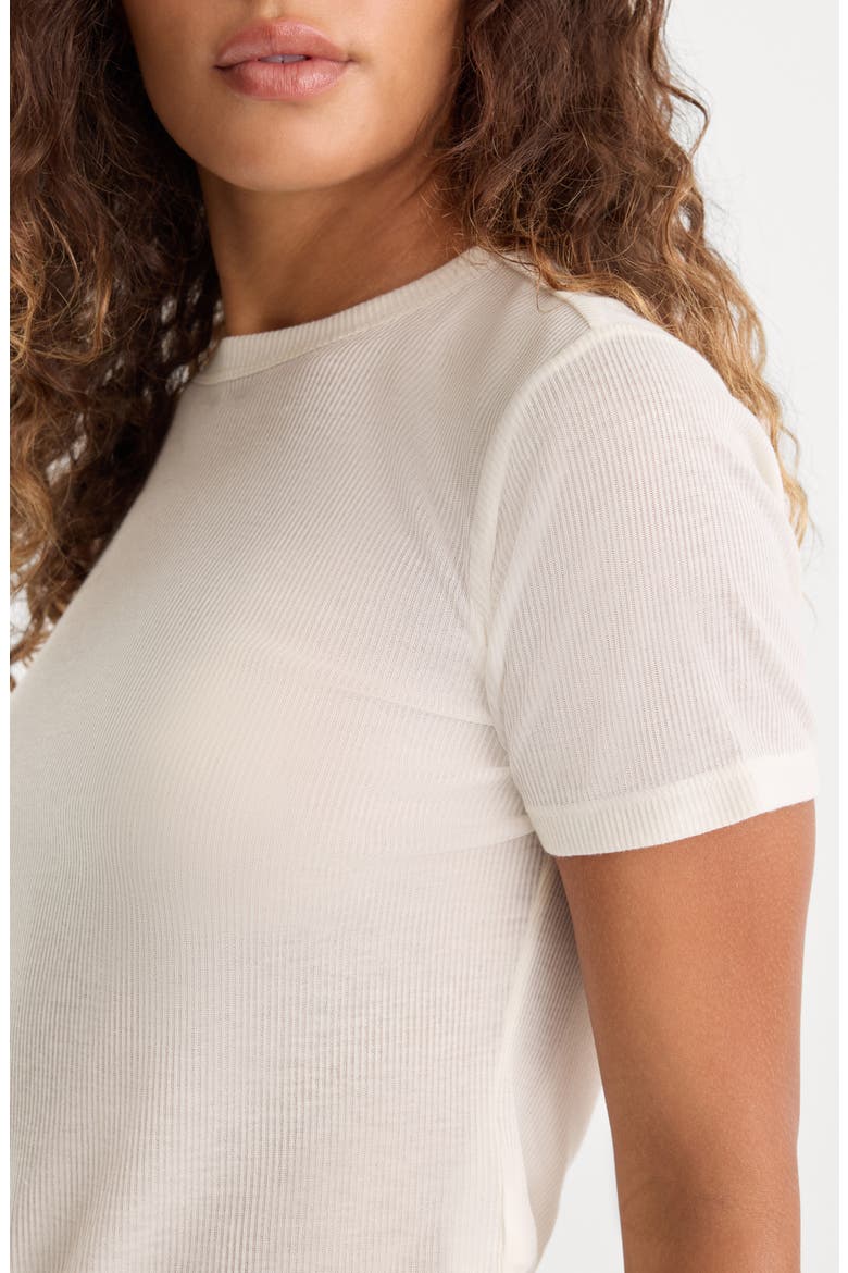 The Sheer Rib T-Shirt, Alternate, color, PEARL