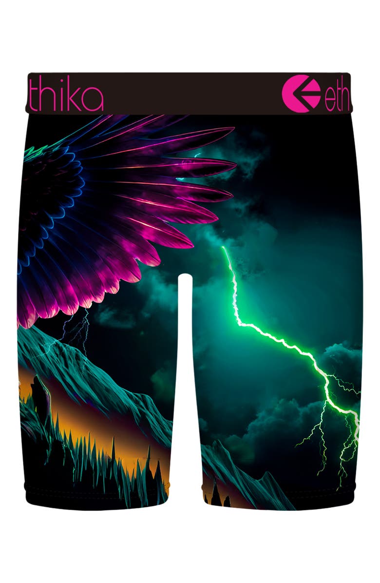 Ethika Kids' Cry of the Bolt Boxer Briefs, Alternate, color, Assorted