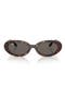  Havana / Dark Grey