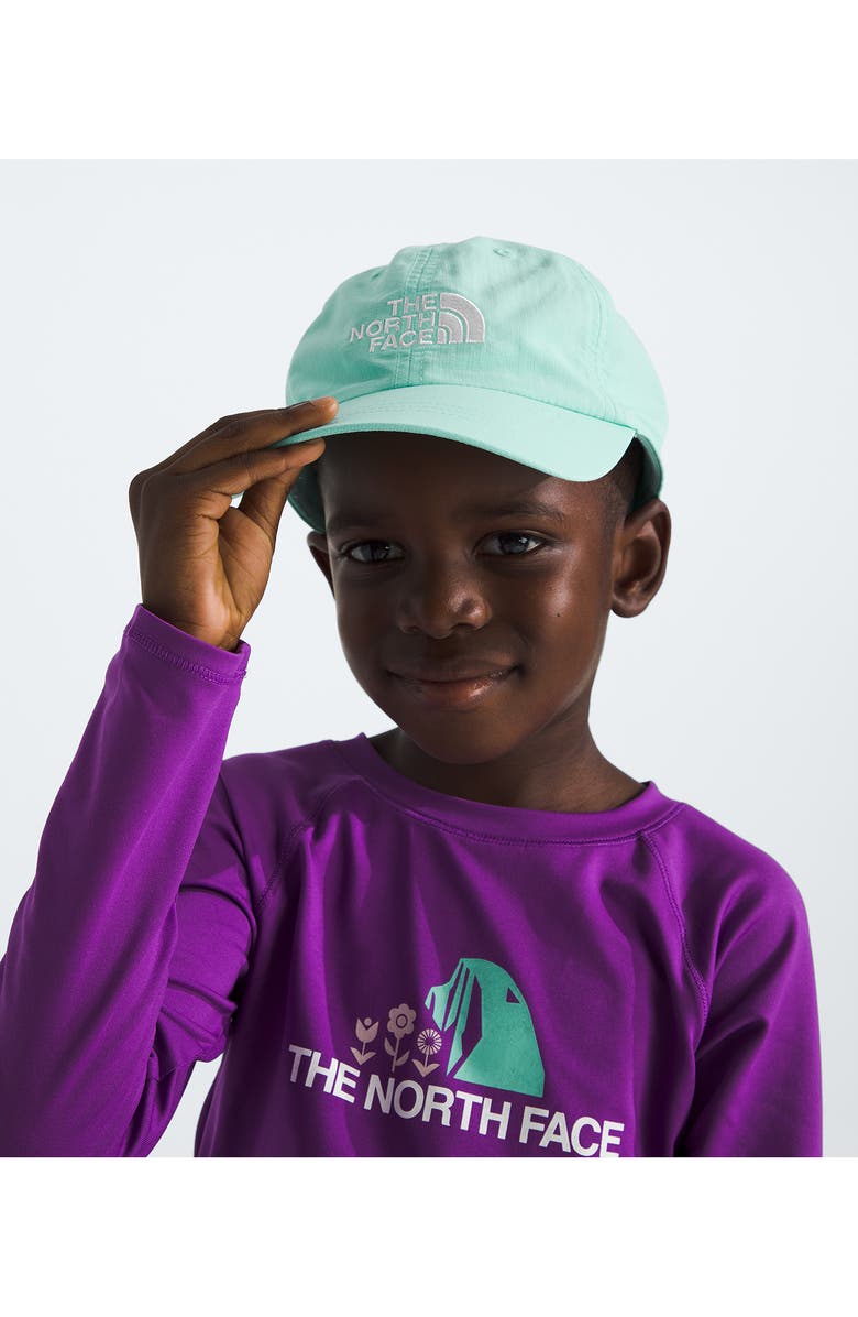 The North Face Kids' Horizon Baseball Cap, Alternate, color, 