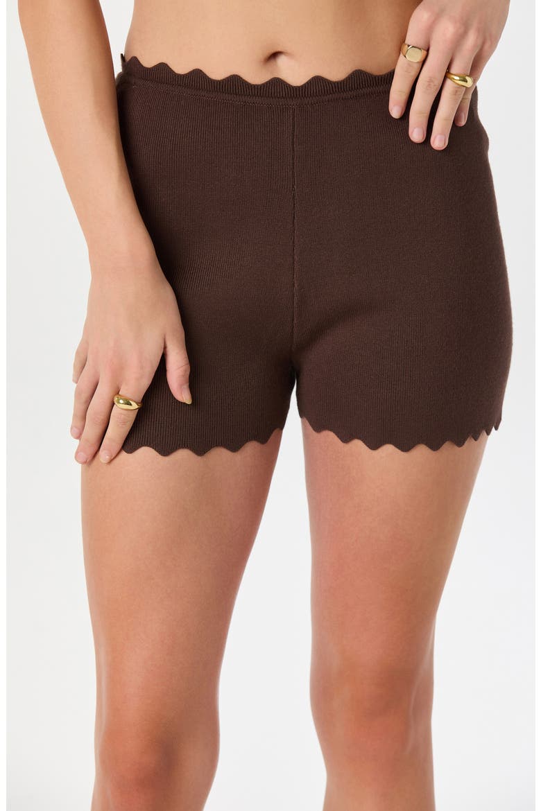 Scalloped Edge Knit Shorts, Alternate, color, BROWN