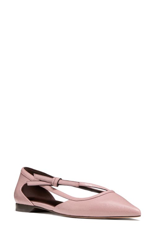 Kate Spade New York Loop Pointed Toe Flat In Multi