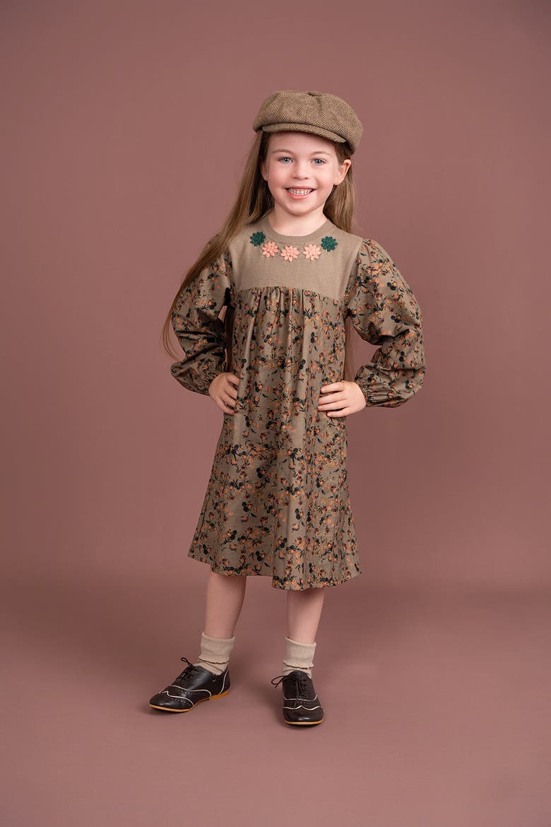 Long Sleeve Flower Print Embroidered Dress, Alternate, color, Olive