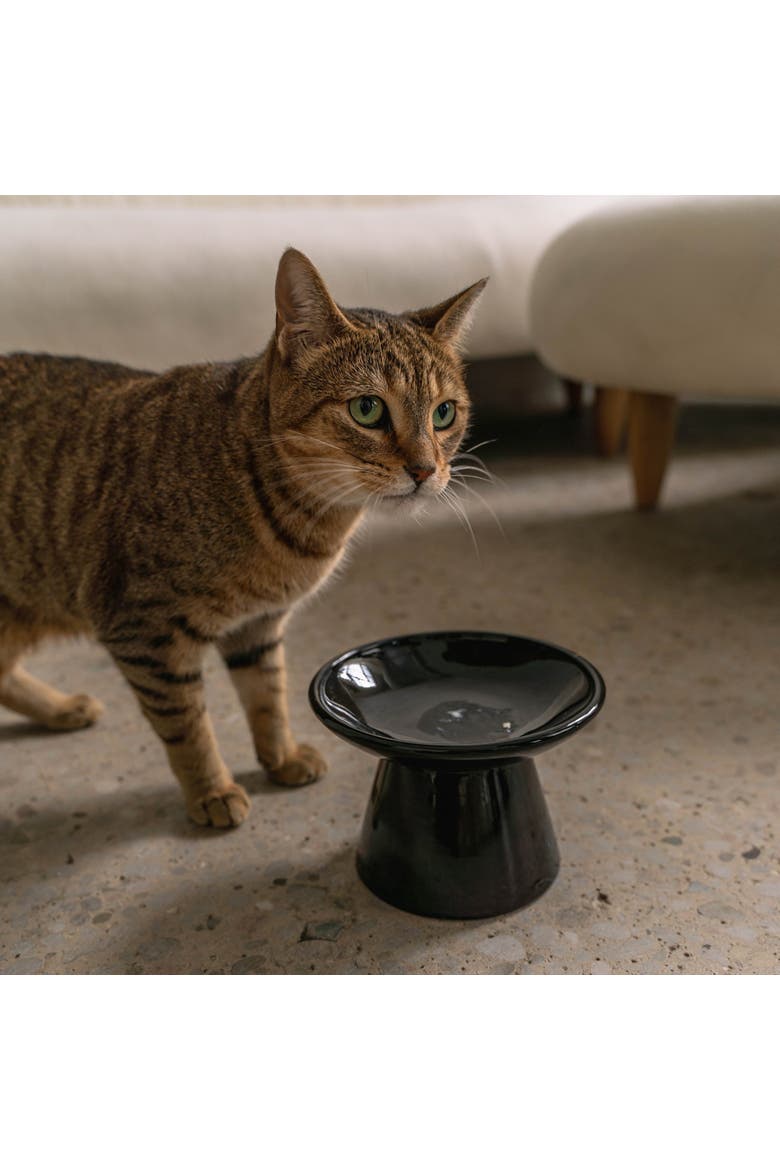 Flat Top Ceramic Bowl For Cats Black 7.5oz Capacity, Alternate, color, Black