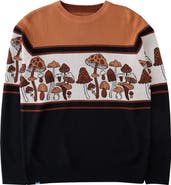 KAVU Highline Sweater - Men's