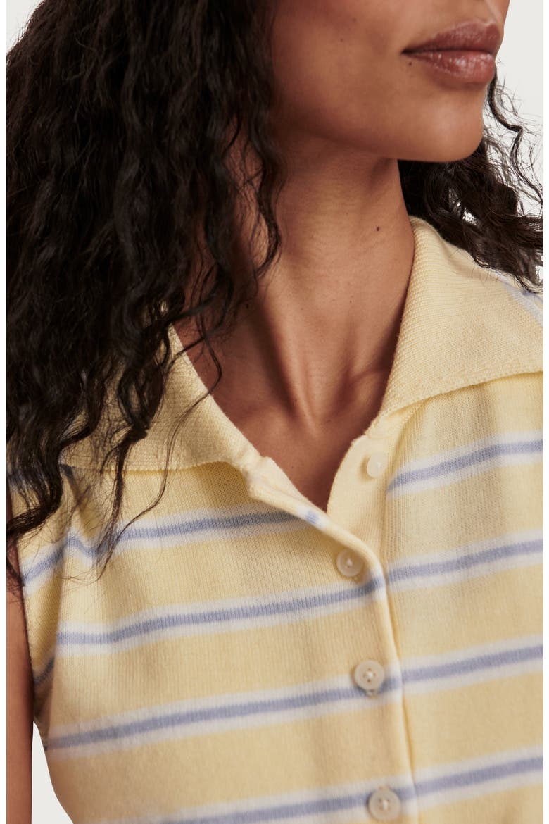 Rue Striped Polo Tank, Alternate, color, ANISE FLOWER / XENON BLUE