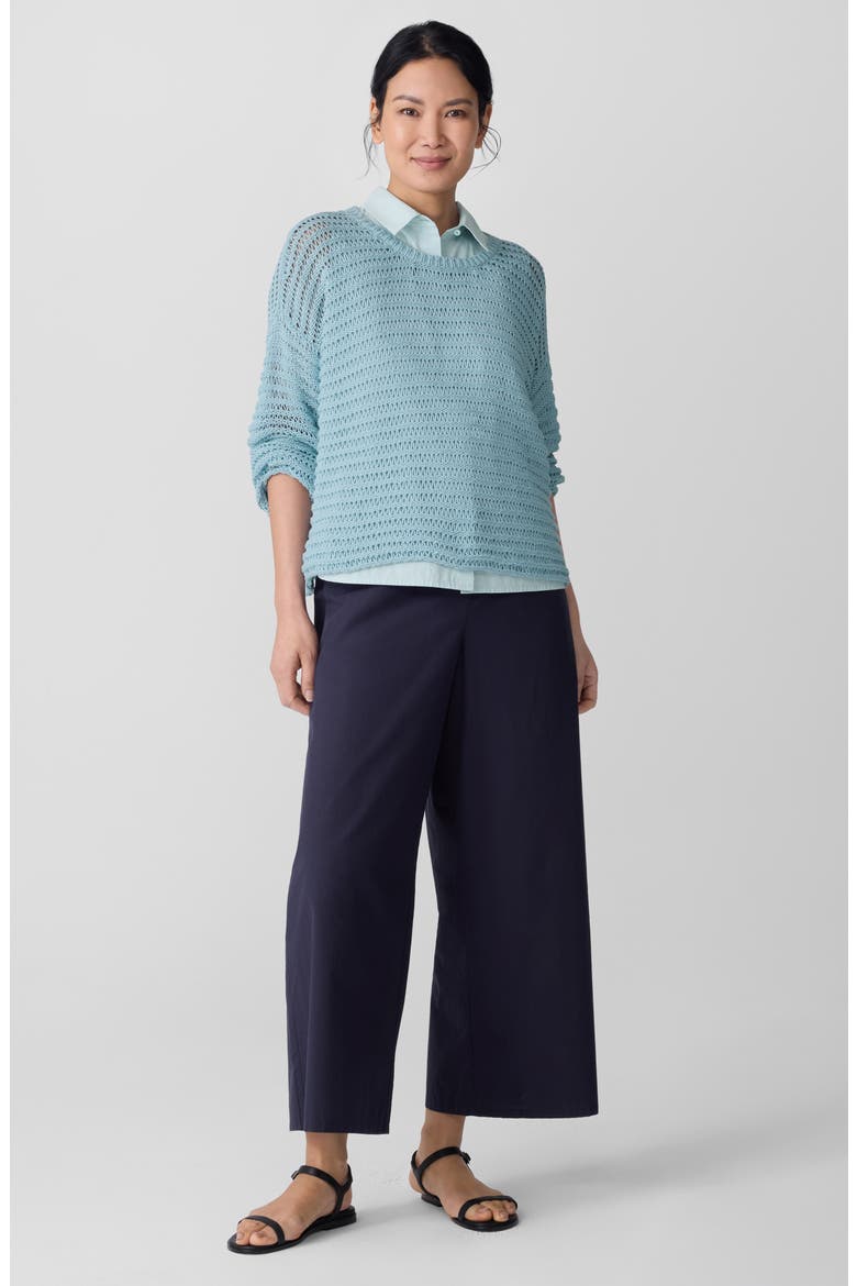 Crewneck Oversize Organic Cotton Sweater, Alternate, color, PALE SKY