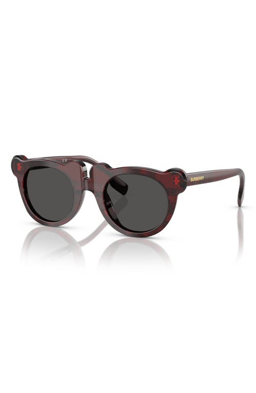 Burberry Kids' 43mm Irregular Sunglasses In Burgundy