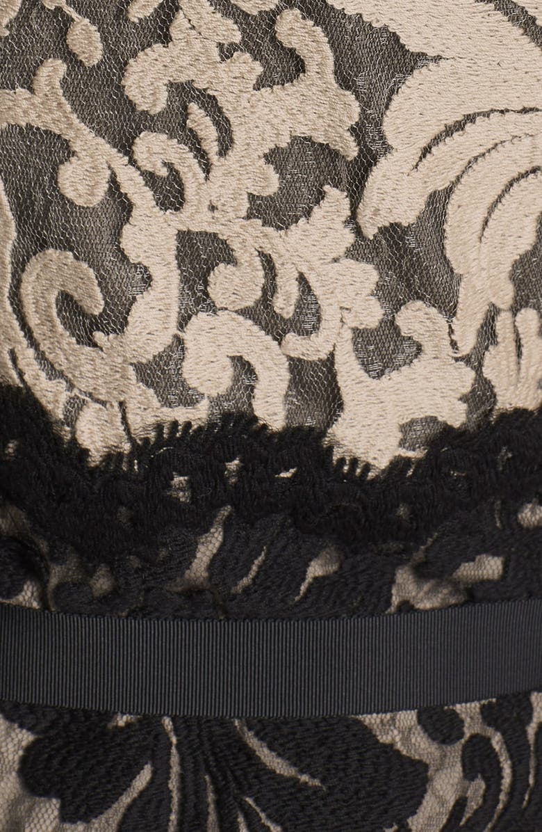 Tadashi Shoji Embroidered Lace Sheath Dress, Alternate, color, 