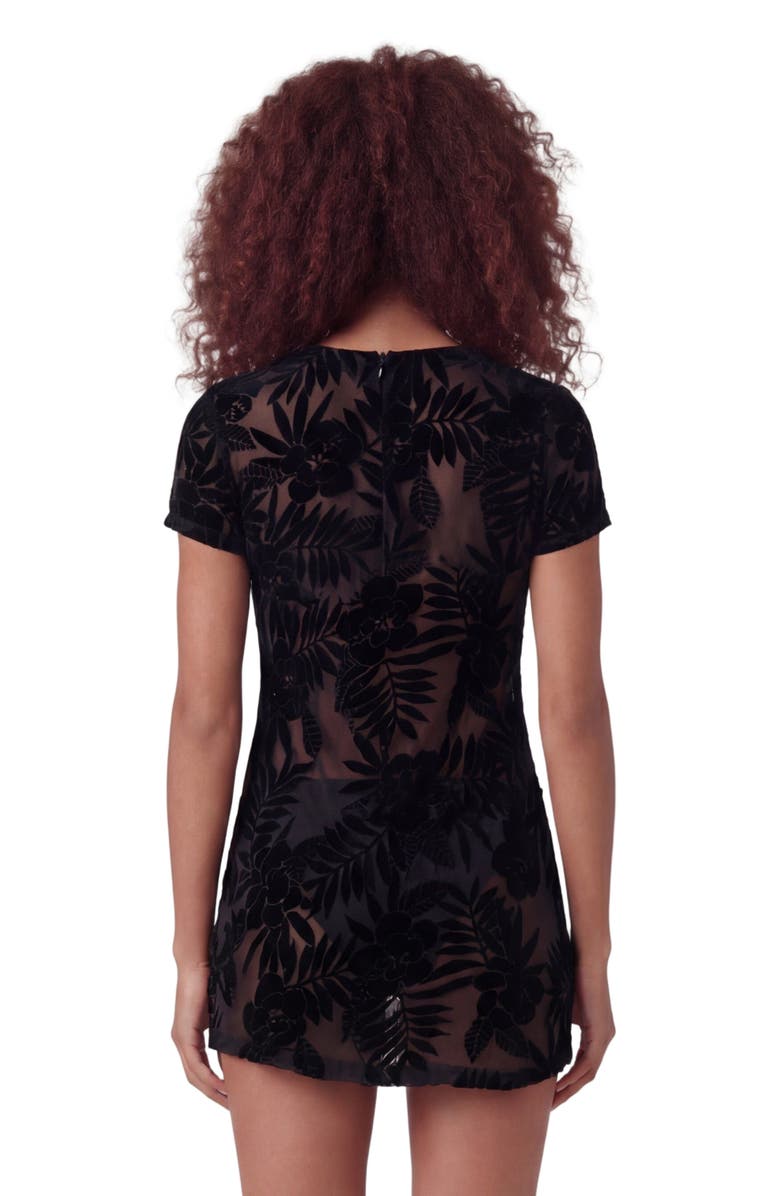 Lords of Harlech Country Floral Womens V-neck Mini Dress, Alternate, color, Country Floral Black