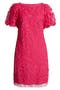 selected Hot Pink