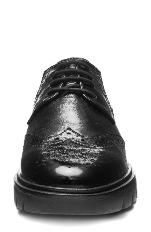 Ara Clementine Wingtip Derby In Black