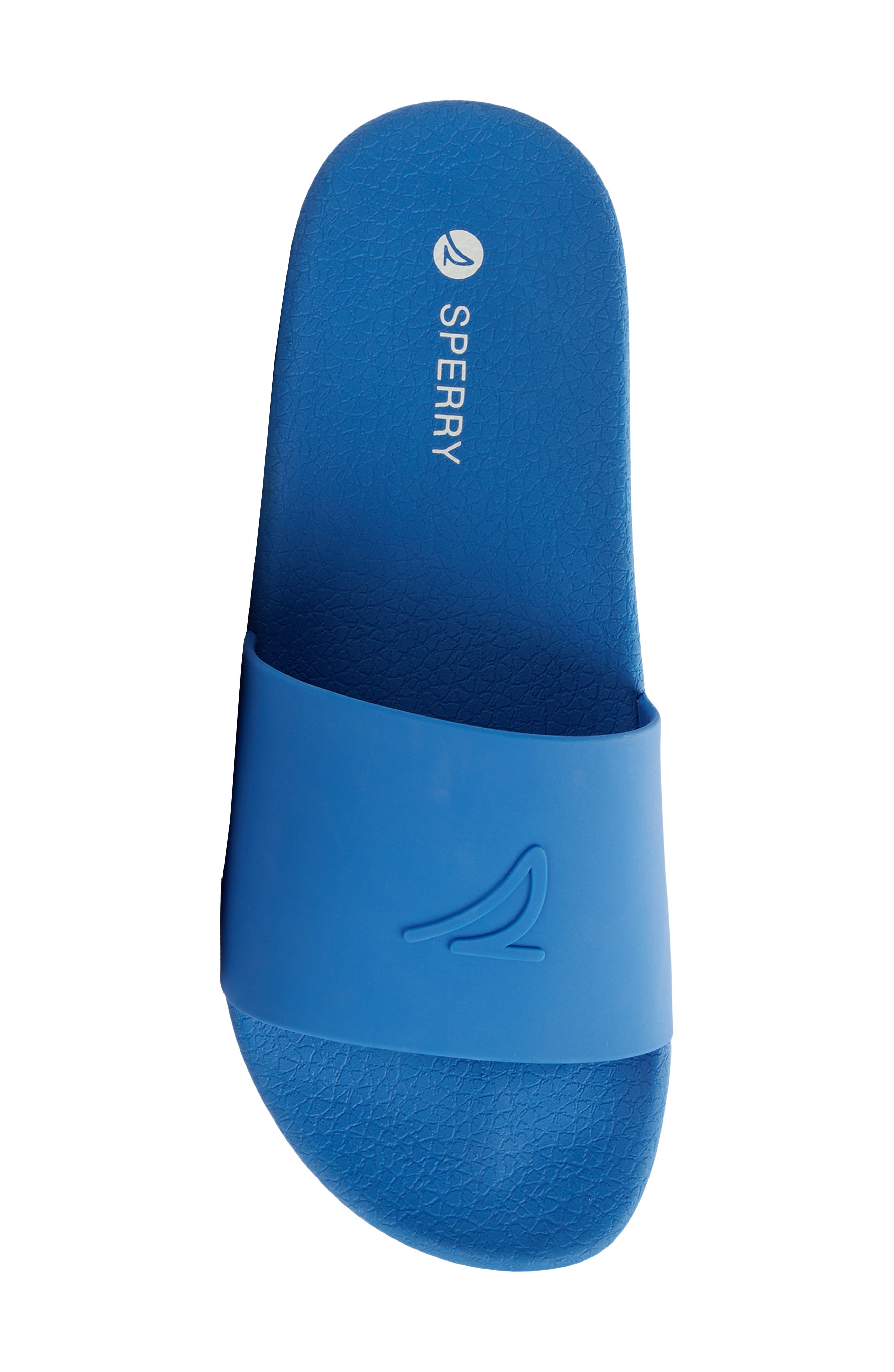 Sperry Freeboard Slide Sandal, Alternate, color, Bright Blue