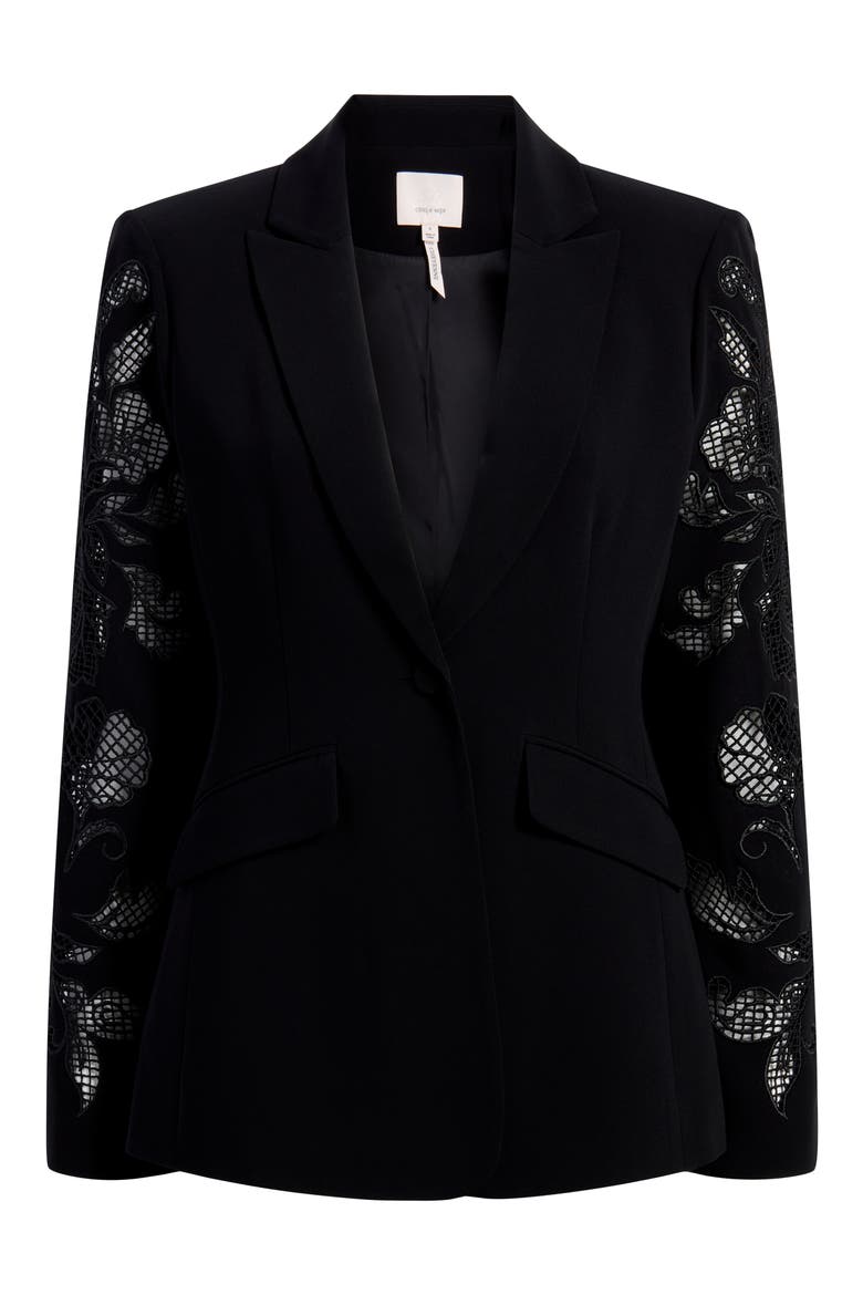 Cheyenne Floral Embroidered One-Button Blazer, Alternate, color, BLACK