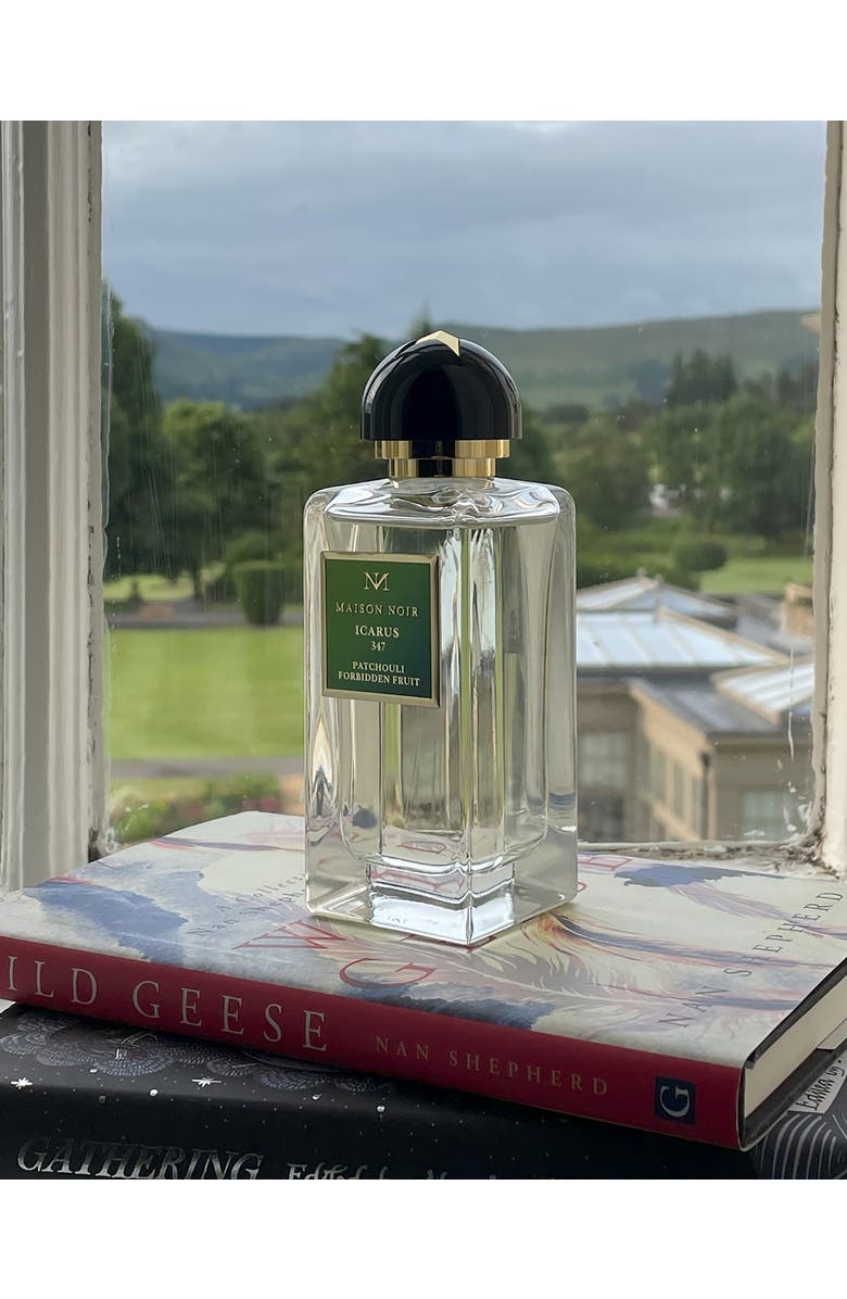 MAISON NOIR Icarus 347, Alternate, color, NO COLOR