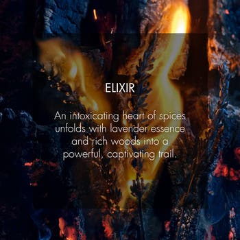 Sauvage Elixir Fragrance