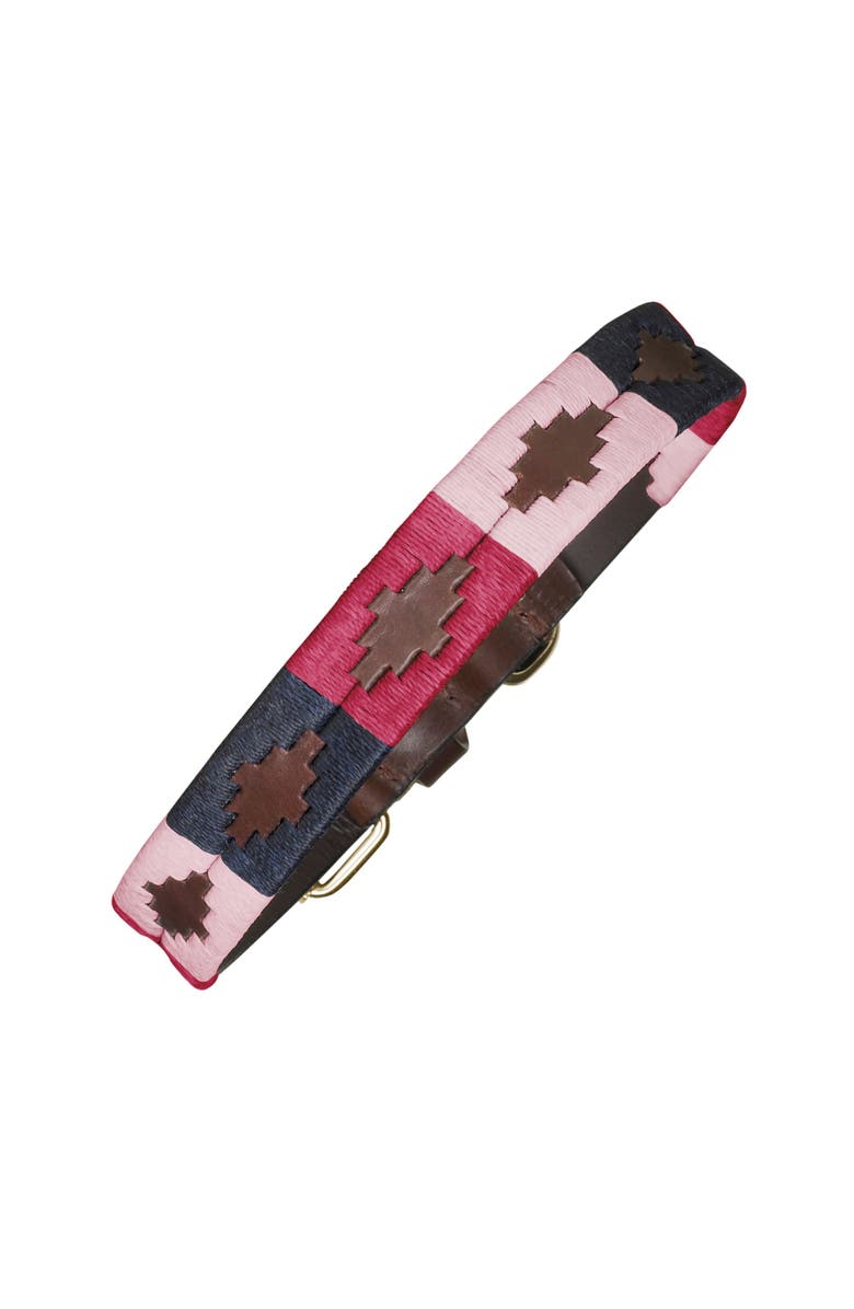 pampeano Pampa Dog Collar - Petalo, Main, color, 