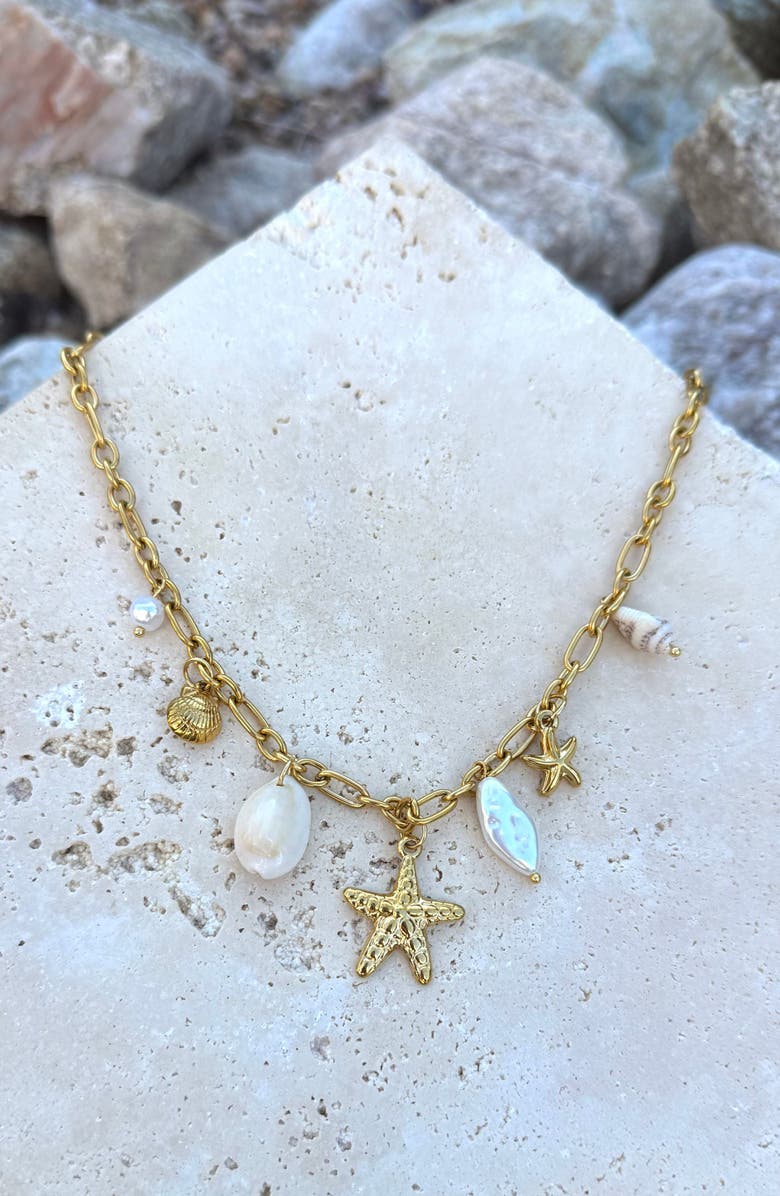 Adornia Assorted Shaker Charm Necklace, Alternate, color, 