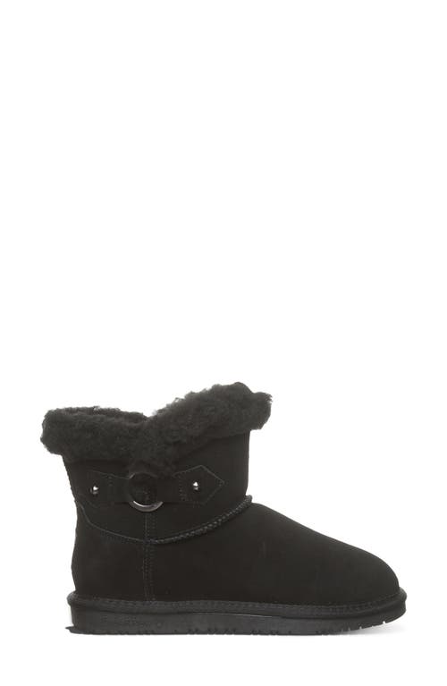 Bearpaw Wren Faux Shearling Lined Bootie In Black