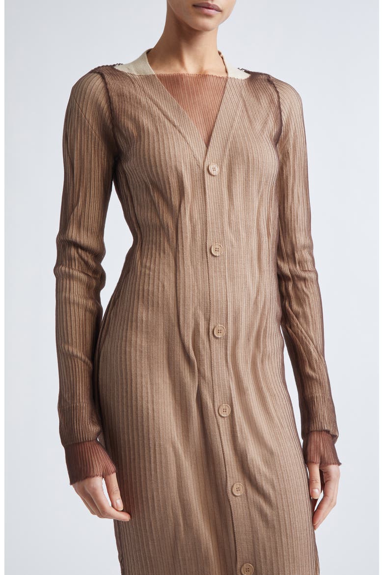 Sheer Overlay Sweater Dress, Alternate, color, BEIGE-BROWN