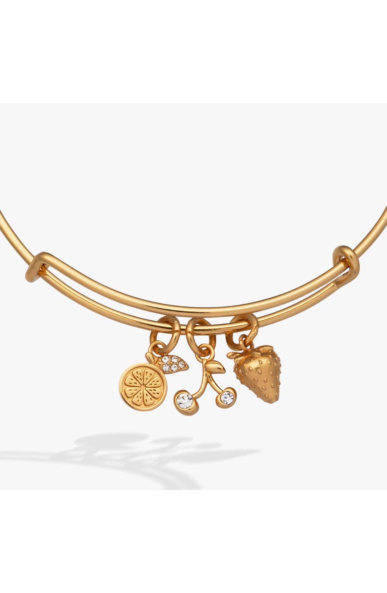 Alex and Ani Summer Fruits Charm Bangle, Alternate, color, 