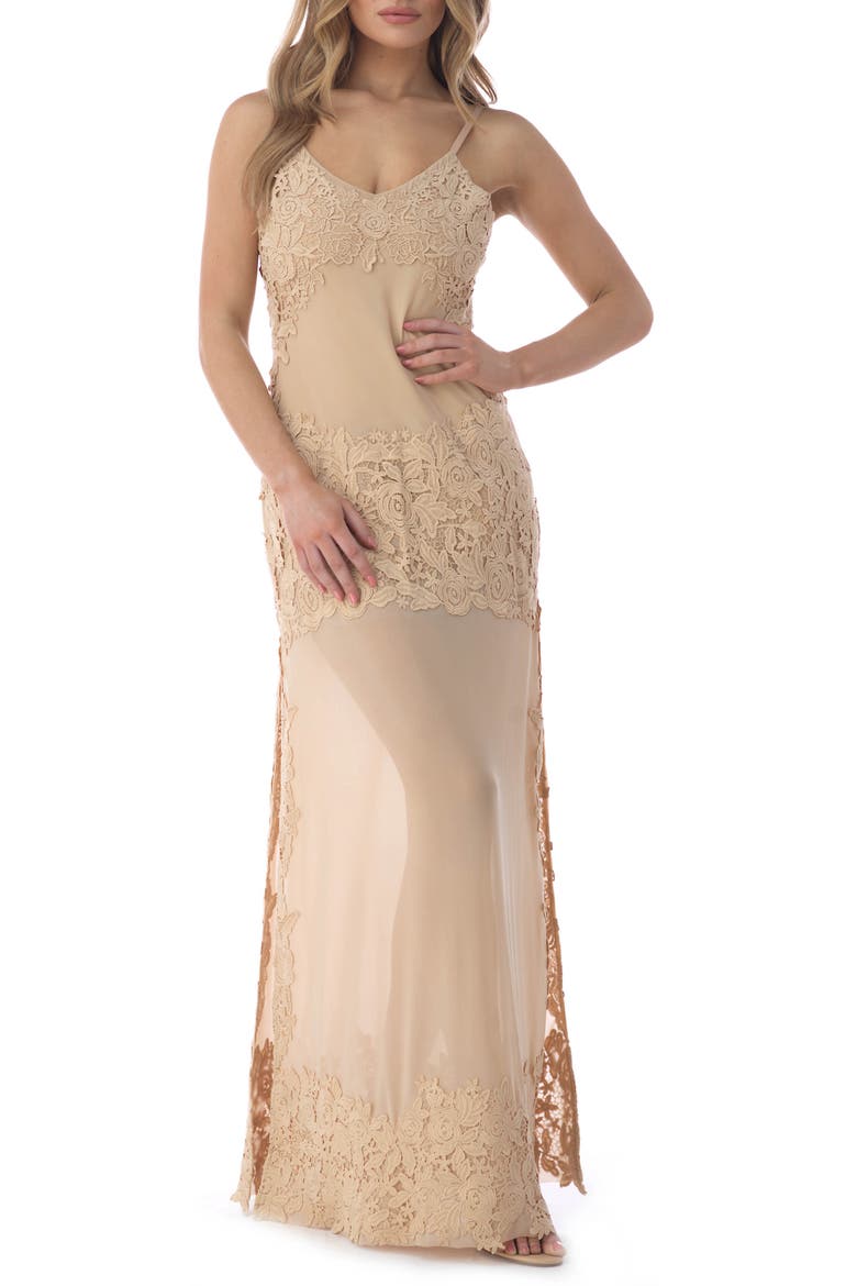 Embroidered Lace Detail Mesh Maxi Dress, Alternate, color, BEIGE