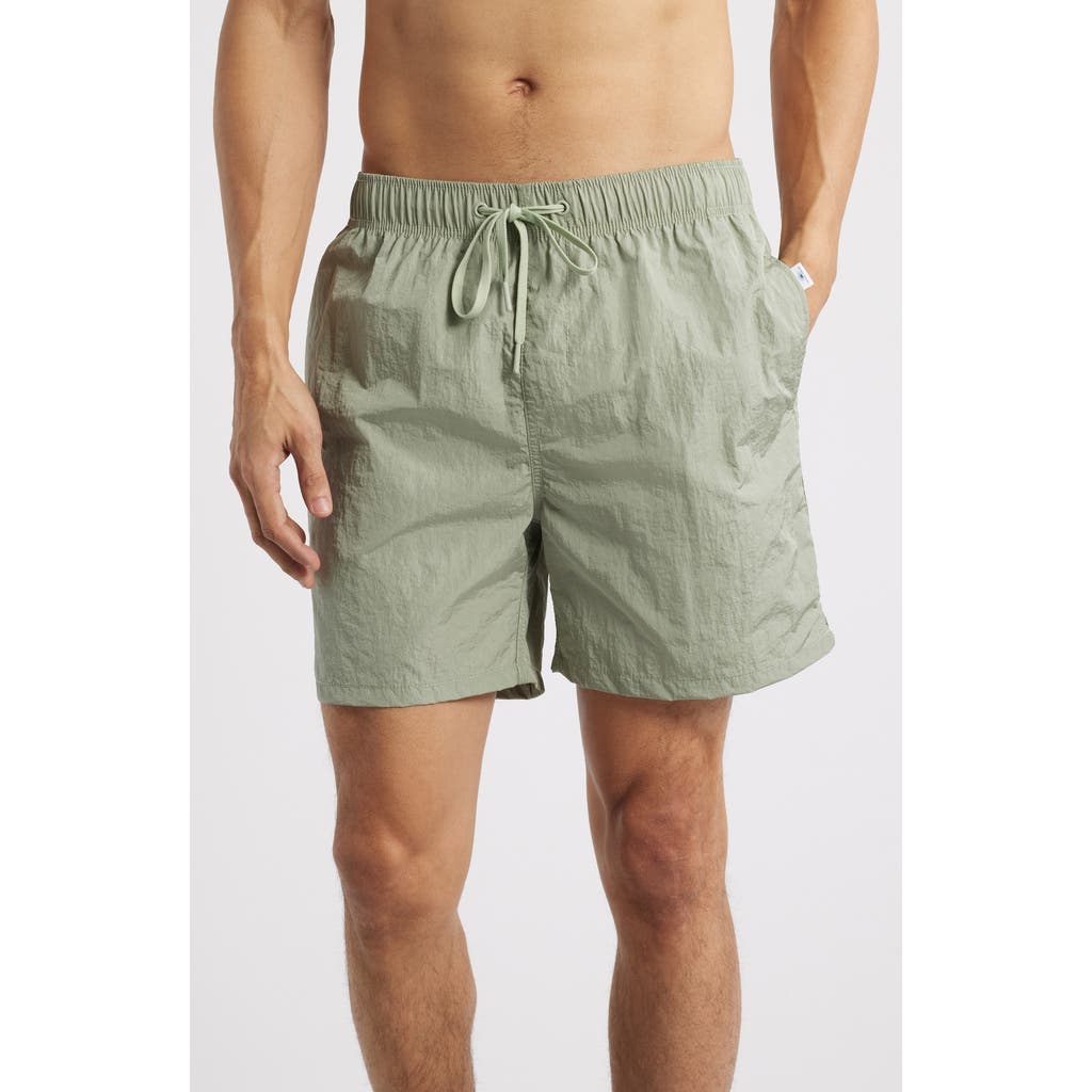 Shop Vintage Summer Volley Swim Trunks In Green