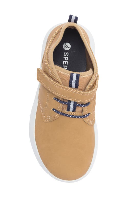 Sperry Coastal Break Chukka In Brown