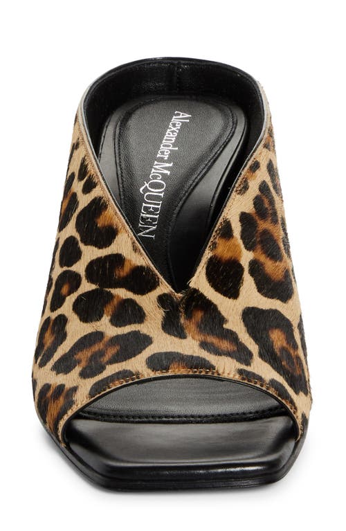 Alexander Mcqueen Mcqueen Genuine Calf Hair Open Toe Mule In Leopard Print Calf Hair/black