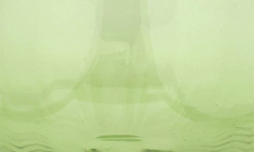 Vietri Francesca Water Glass In Green