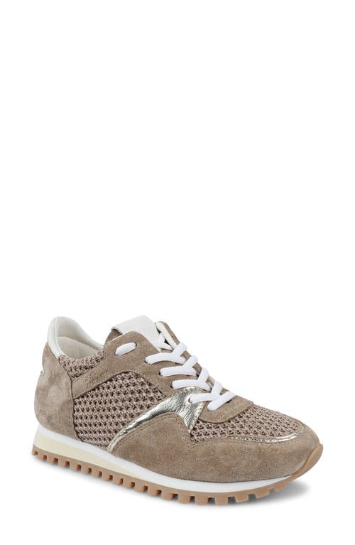 Zigi Porsh Sneaker In Multi