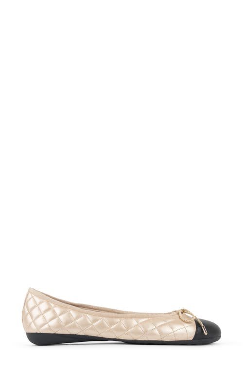Paul Mayer Cap Toe Quilted Ballet Flat