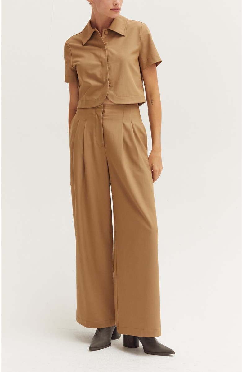 CRESCENT Pleated Wide Leg Trousers, Alternate, color, Camel