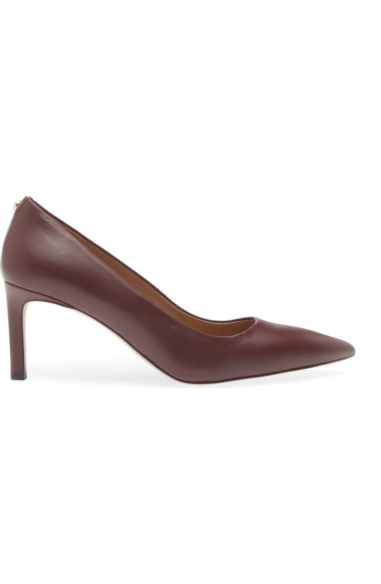 BOSS Janet Pointed Toe Pump, Alternate, color, Dark Red