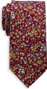 Synrgy by DXL Big & Tall Autumn Floral Tie