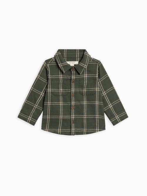 Kendi Berg Flannel Long Sleeve Collared Button Down Shirt in Pine Plaid  product