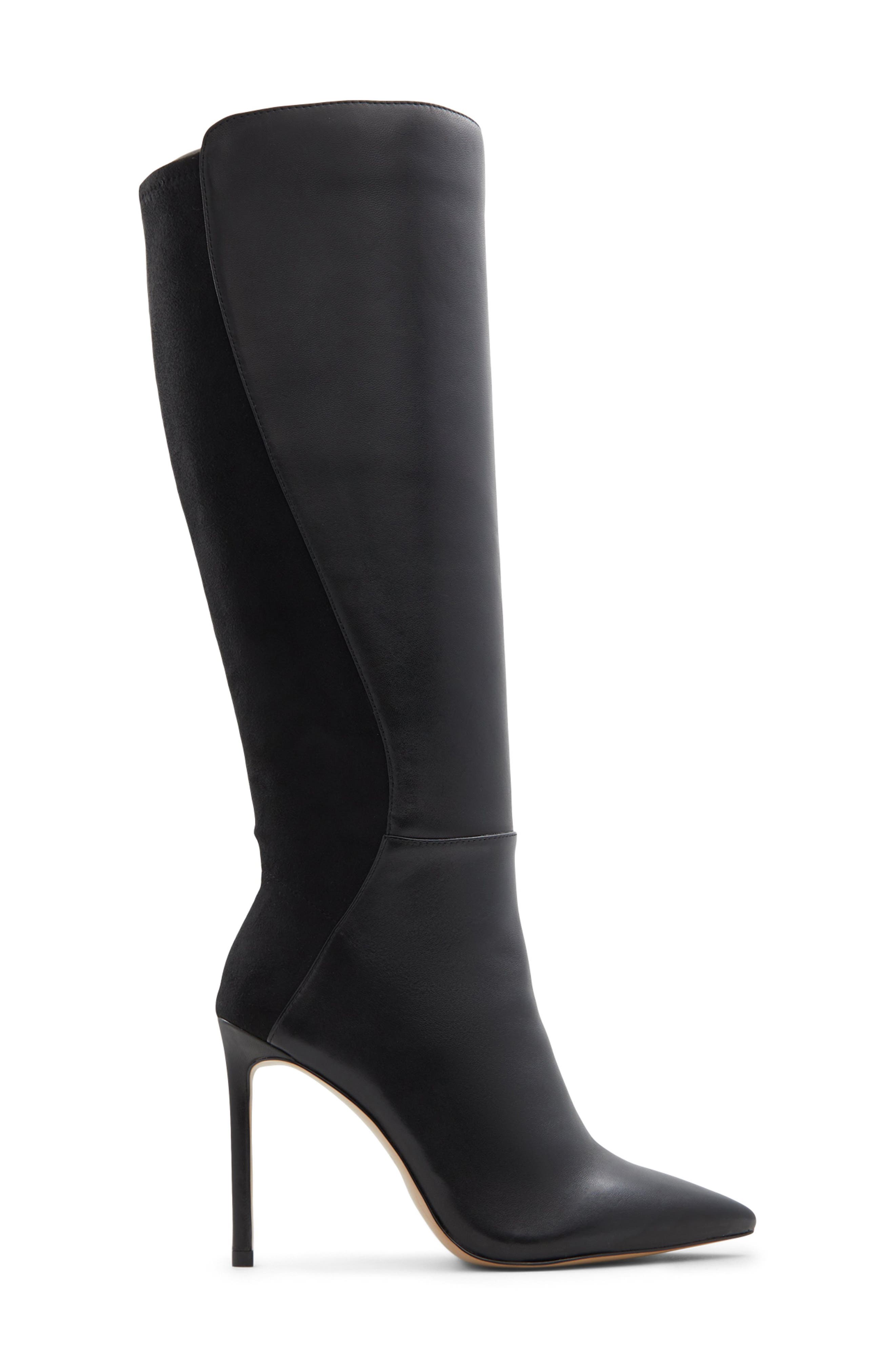 ALDO Milann Pointed Toe Knee High Boot, Alternate, color, 