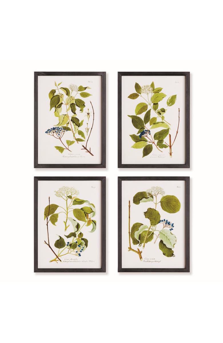 Napa Home & Garden 17.75"W x 0.75"D x 23.5"H Floral And Berry Study Framed Wall Art Frame Set of 4, Main, color, Black
