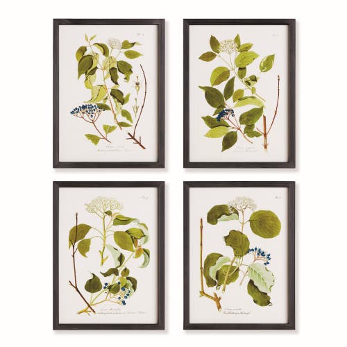 Napa Home & Garden 17.75"w X 0.75"d X 23.5"h Floral And Berry Study Framed Wall Art Frame Set Of 4 In Black