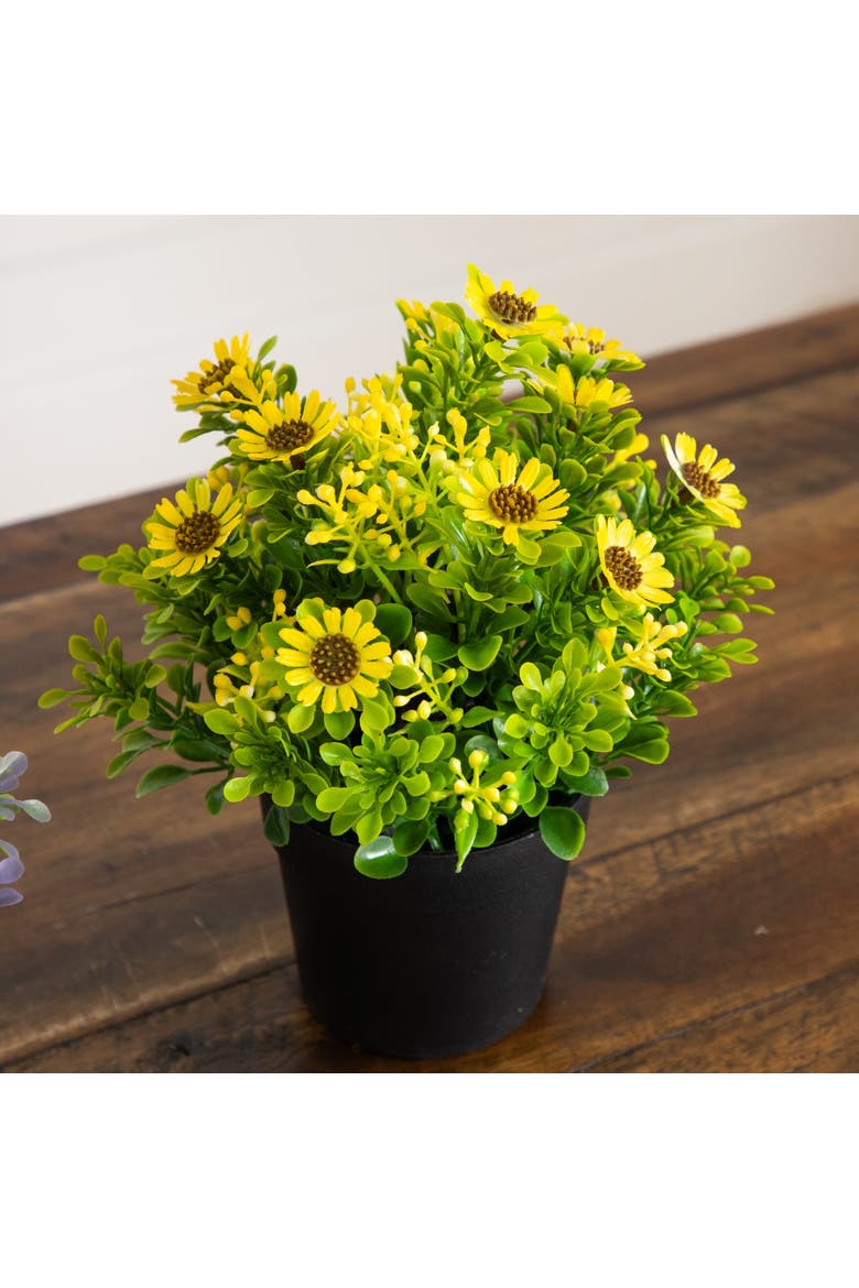 8-in Artificial Flowering Daisy in Black Pot - Set of 3, Alternate, color, Assorted