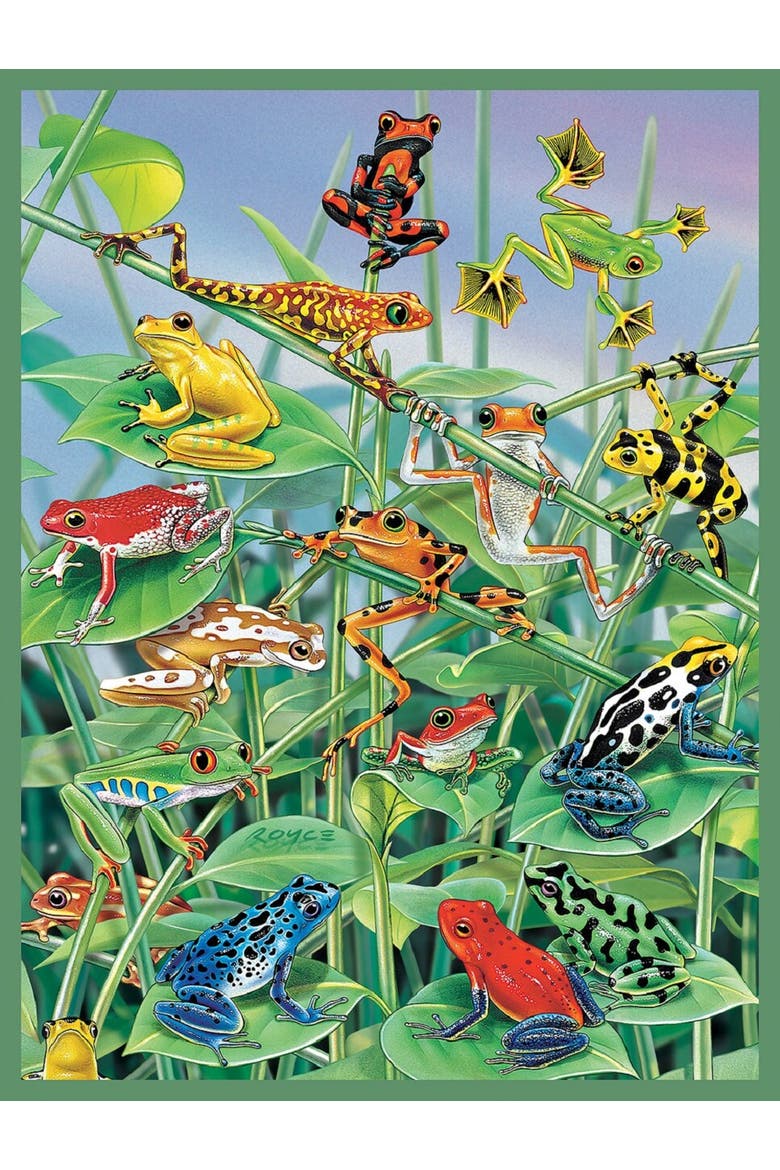 Jungle Gym 500 piece Jigsaw Puzzle for Adults, Alternate, color, Multicolor